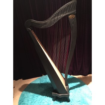SOLD - 2nd Hand Dusty String Ravenna 34